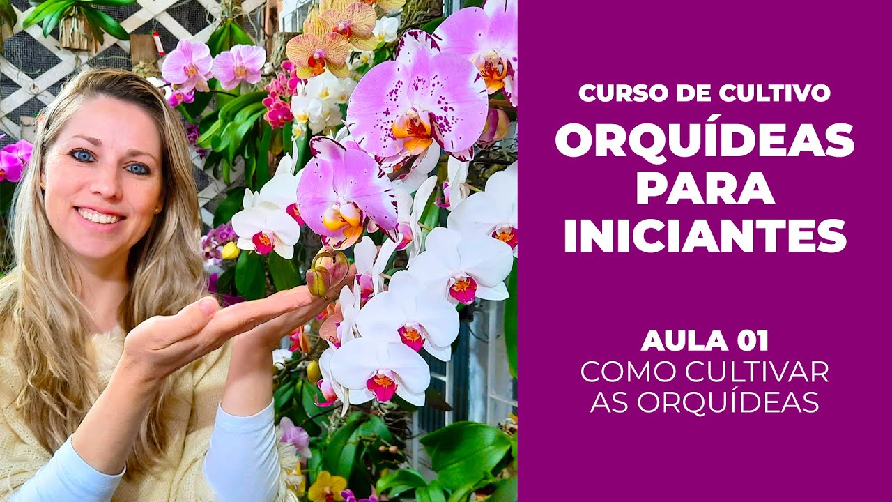 AULA 01 - COMO CULTIVAR AS ORQUÍDEAS