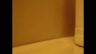 Vivian Hsu (徐若瑄) feat.曹格. I Still Believe. (Cover)