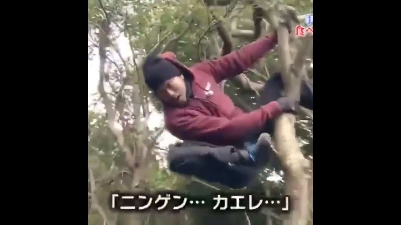 ニンゲン カエレ Youtube