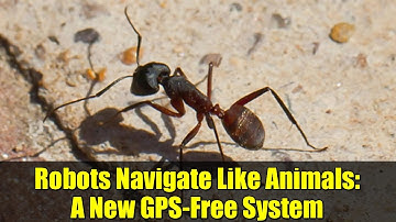 Robots Navigate Like Animals: A New GPS-Free System