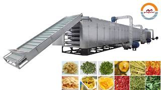 Conveyor Mesh Belt Type Drying Dehydration Machine Fruit Vegetable Herb Continuous Dryer Dehydrator
