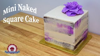 Mini Naked Square Cake