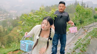 Experience fruit orchards & enjoy delicious dishes made from animal meat in Bac Ha Market | SAPA TV