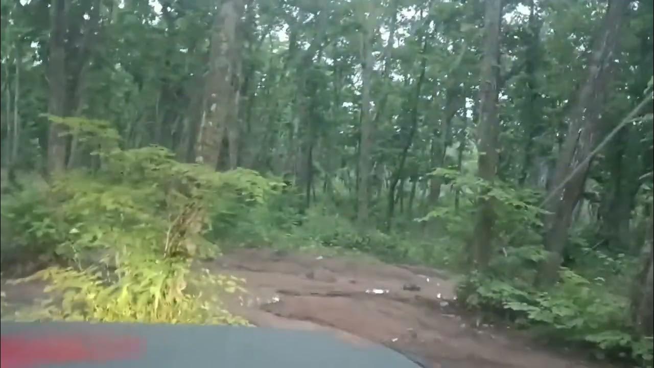 дорога на пляж новый джигит#2 - YouTube