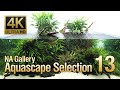 [ADAview] -4K- ネイチャーアクアリウムギャラリー 水景セレクション13
