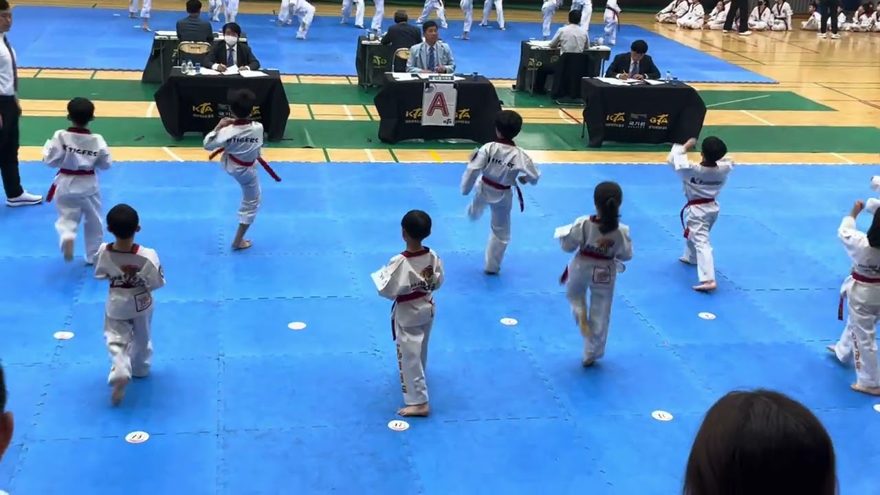 230610 길순이 태권도 단 따는 날￼