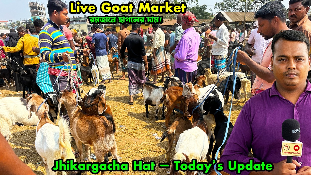 রমজান স্পেশাল! ঝিকরগাছা ছাগলের হাটে কম নাকি বেশি দাম? পুরো বাজার ঘুরে দেখুন