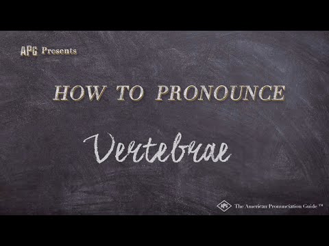 How to Pronounce Vertebrae  |  Vertebrae Pronunciation