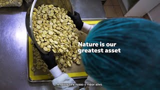 Financiamento Da Natureza Guia Para Profissionais Sobre A Seleção De Métricas De Resultados