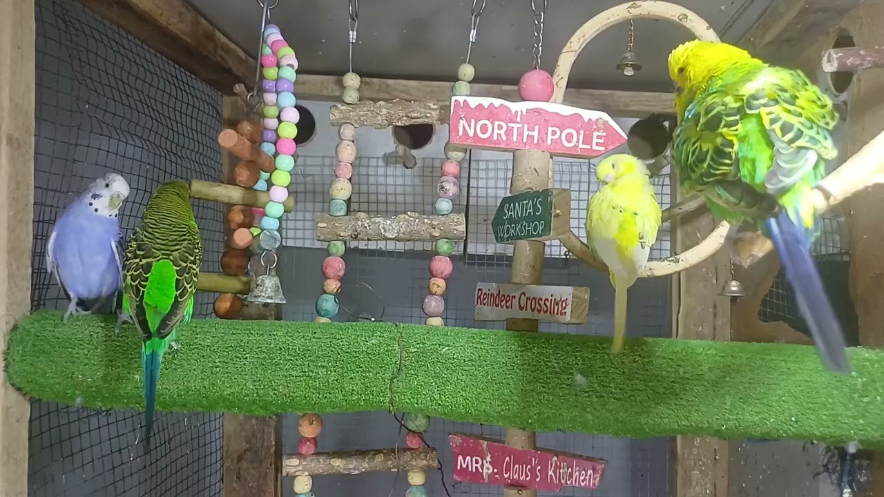 Watch once, you’ll want to watch again 😉