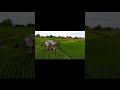 sore hari ketika mendung