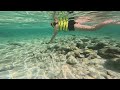 Snorkeling in Turks and Caicos