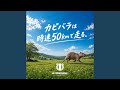 カピバラは時速50kmで走る。