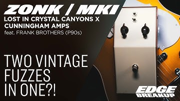 Cunningham Amps ZONK MKI — Lost in Crystal Canyons