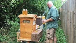 How to be a beekeeper not a beehaver