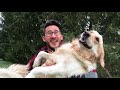 End of video