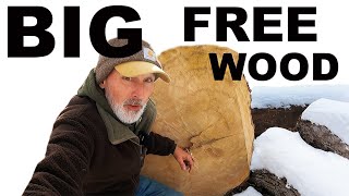 FREE FIREWOOD... WITH SOME SAW WORK!