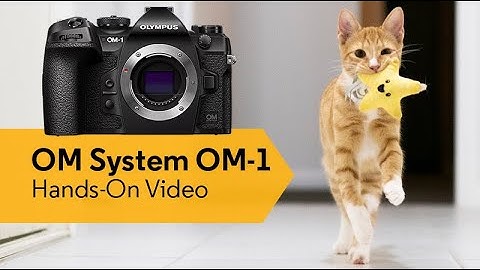 OM System OM-1 Hands-On Video | CameraPro Australia