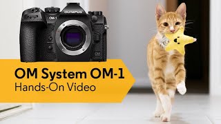 OM System OM-1 Hands-On Video | CameraPro Australia by CameraPro 1,640 views 1 year ago 5 minutes, 36 seconds