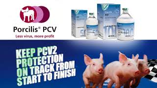 PCV Vaccine The Total Solution - MSD Animal Health