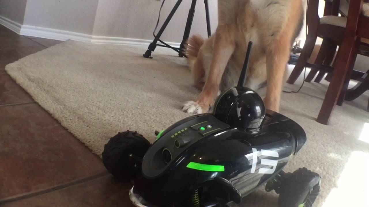 Brookstone rover revolution