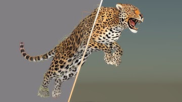 Animated Leopard 3D Model: Download - 3Ds Max | PROmax3D