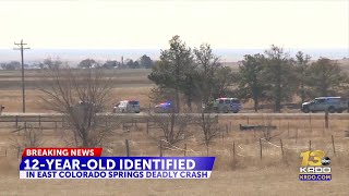 Name of 12-year-old killed in Hwy. 94 crash reportedly caused by ‘distracted driver’ ...