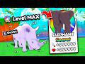 Unlocking MAX LEVEL Evolution in +1 Speed Evolve! (Roblox)