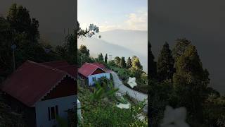 📍Sittong #shorts #ytshorts #travelshorts #nature #darjeeling #travel #youtubeshorts#mountains