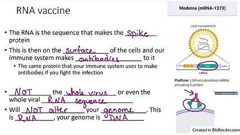 Background on RNA vaccines