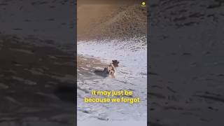 We Are All Connected