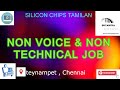NON VOICE & NON TECHNICAL JOB