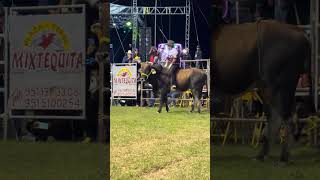 La mera Paipa Mascota de Jalisco le metió freno… #jaripeo #toros #losdestructores