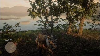 La tombe de sean macguire red dead redemption 2
https://store.playstation.com/#!/fr-fr/tid=cusa08519_00