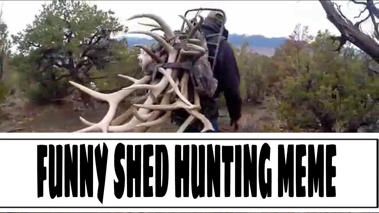 Funny Shed Hunting Meme YouTube