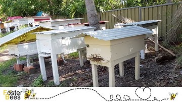 Long bee hives for the elderly, disabled and non lifters like teenagers