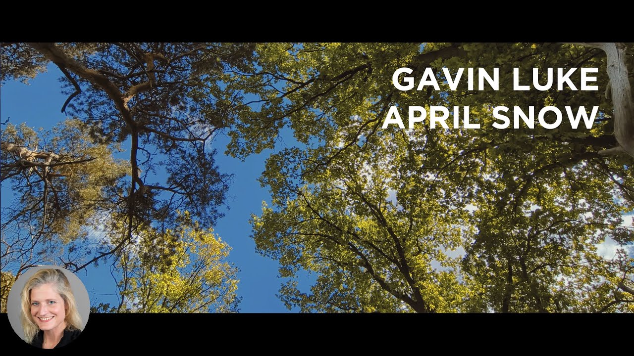 Gavin Luke, April Snow, Piano Cover by Rose Wilson - YouTube