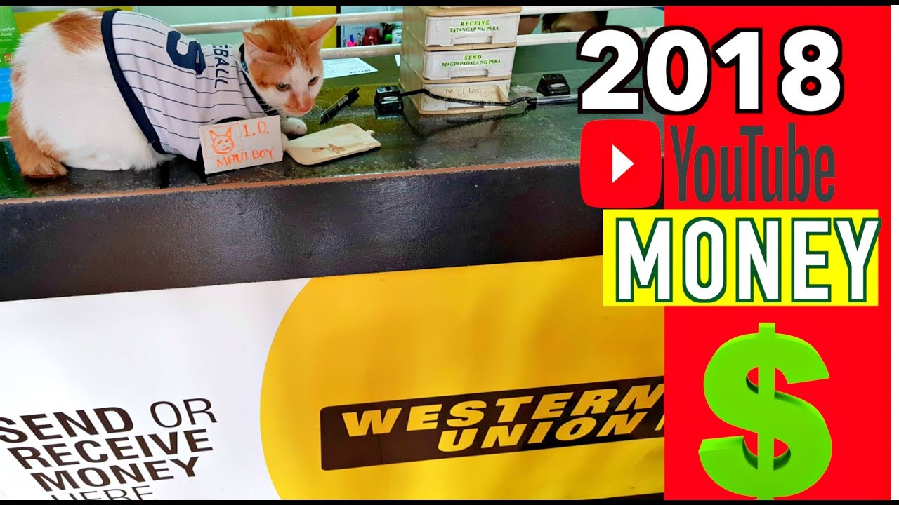 how much did popularmmos make on youtube Cat's FIRST YouTube PAYCHECK! | How Much Did I Make?💰😺