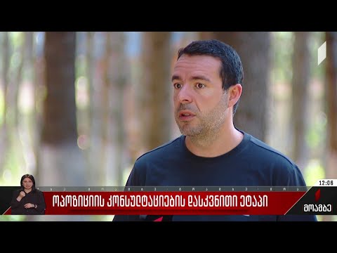 ოპოზიციის კონსულტაციების დასკვნითი ეტაპი