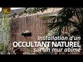 Occultant naturel sur mur abime marque  ideal garden