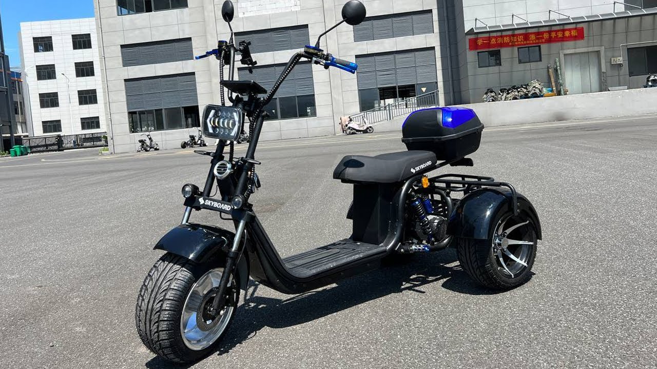 Скайборд. Skyboard Trike br80. City Coco Skyboard. Скайборд 4000вт.