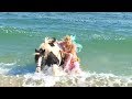 No Ads Ocean sounds meditation 1 hour horses swimming on the beach join us