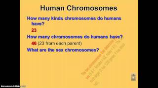 Chapter 14 Podcast 1: Human Chromosomes