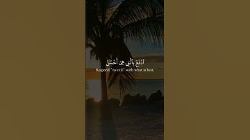 تلاوة سورة فصلت (٣٣-٣٥) للقارئ عمر برنس - Surat Fussilat (33-35) by Omar Prince