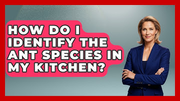 How Do I Identify The Ant Species In My Kitchen? - Insects and Invaders
