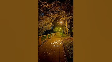 سورة القصـص || القارئ محمد صديـق المنشاوي . #المصحف  #راحة_نفسية