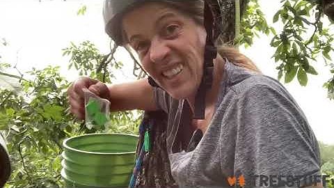 #TreeoCache72 - Video by Norbert and Lid Riojas - TreeStuff.com