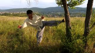 Попытка нокаутировать дерево /wushu training/ xiao hong quan