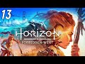 Horizon Запретный Запад (PC 2024) — Стрим #13