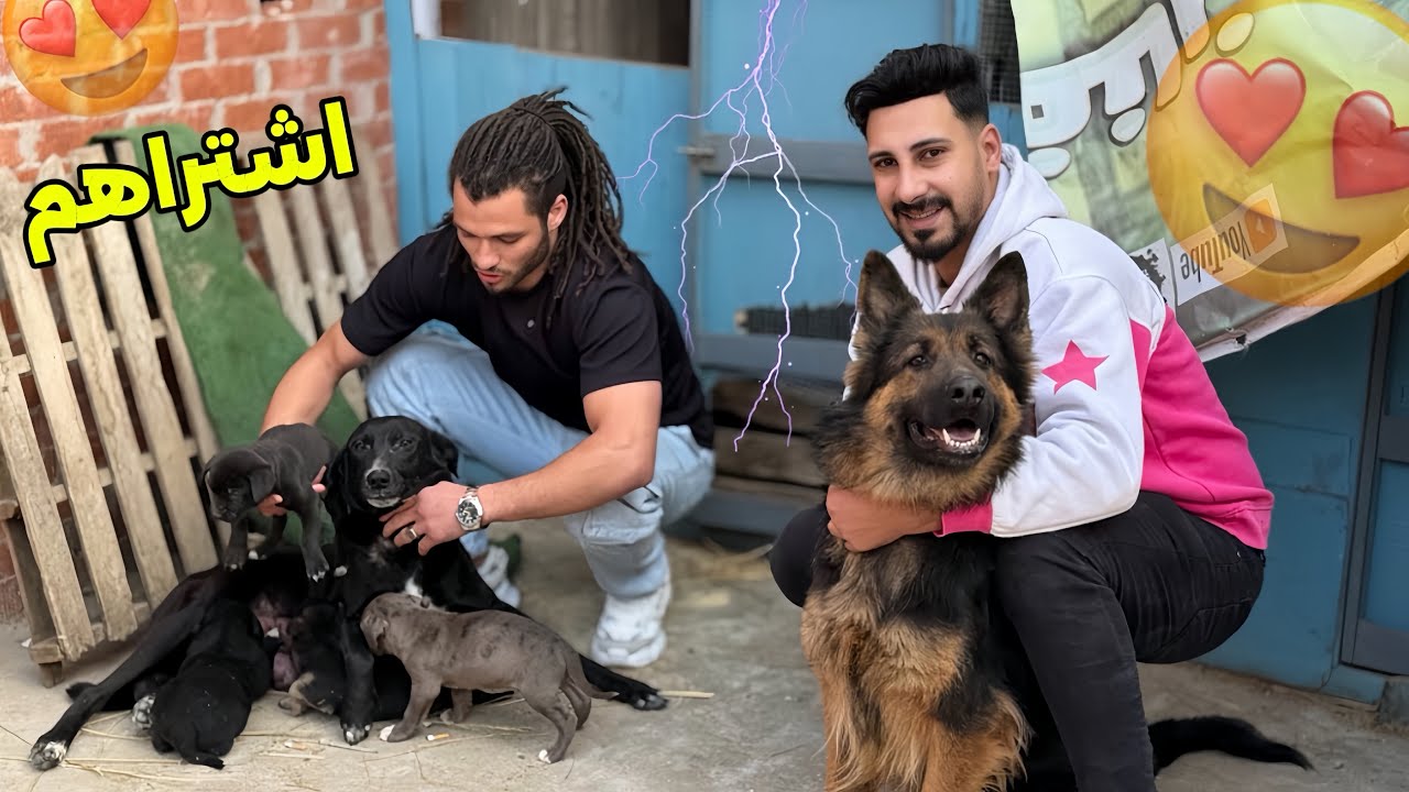 زياره مفاجأه من حسن شينا علشان يشتري الكلاب البلدي😍